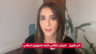 نامه ده عضو مجلس نمایندگان نیوزلند از حزب سبز به علی خامنه‌ای