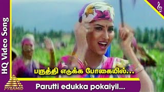 Parutti Edukka Pokaiyil Video Song | Ponvizha Tamil Movie Songs | Napoleon | Suvalakshmi | Deva