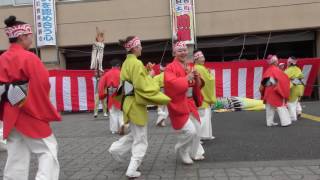 舞人＠2016　小川町七夕よさこい