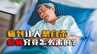 癌痛到底有多恐怖？痛起来让人生不如死！为啥再有钱患癌也会死？