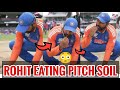 Rohit Sharma eats sand from Barbados pitch after team India's World Cup victory