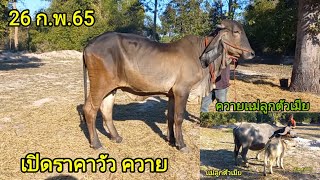 เปิดราคาวัว ควาย ล่าสุดวันนี้ (26ก.พ.65)@พี่จ่า ปทุมราช