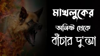 মাখলুকের অনিষ্ট থেকে বাঁচার দু'আ || #আ মালুর রাসূল সাঃ