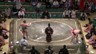 青狼-旭日松/2017.5.20(35)/seiro-asahisho/day7 #sumo