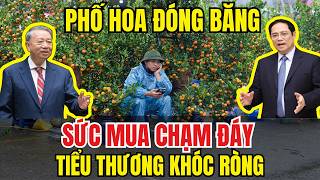 Tin Tức Thời Sự 24h Mới Nhất Hôm Nay: Phố Hoa Ế Ẩm, Sức Mua Giảm Mạnh Dịp Cuối Năm