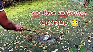 നാടൻ വാരി ചൂണ്ടയിൽ വരാൽ പിടുത്തം #snakehead fishing videos #fishing #fishingpoint new fishing