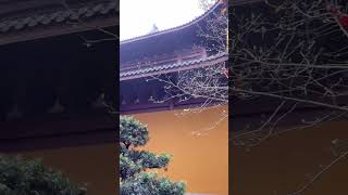 杭州永福禪寺紅楓丹姿片片舞秋风