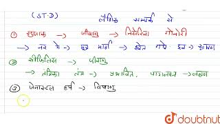 किन्हीं चार यौन सम्बन्धी रोग के नाम एवं प्रत्येक के एक-एक लक्षण लिखिए। | 12 |  (विज्ञान समूह) 20...