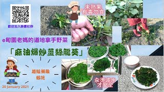 野菜「龍葵」如何料理？