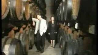 Eurovision 1989 Cyprus - Giannis Savvidakis \u0026 Fanny Polimeri (Video Clip - English Version)