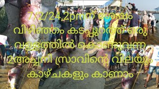 7/2/24,2pmന്ശേഷം 1വള്ളത്തിൽ കൊണ്ടുവന്ന650kg വരുന്ന 2 കൊലകൊല്ലി ഭീമൻസ്രാവിന്റെ വിലയും കാഴ്ചകളും കാണാം