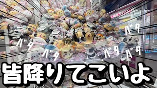 【ちいかわクレーンゲーム】「おい、みんなそこ降りて一緒にこっちこないか？」初めての台で簡単にマスコット取れた！！この台いいかも！？ちいかわてんしあくま大きめマスコット