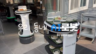 [AI서빙로봇 DX] KT AI서빙로봇 (유명 고추장삼겹살집편)