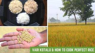 Vari Kotalu | వరి  కోతలు | How to cook perfect Rice at Home | పర్ఫెక్ట్ గా అన్నం వండటం ఎలా