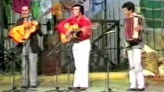 Tibagi \u0026 Miltinho - Canarinho Do Peito Amarelo (Gorrioncillo Pecho Amarillo) (Ao Vivo) | 1980