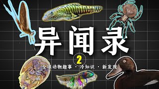 萬字解析網絡熱門動物新聞：蜘蛛的誘騙策略、寵物市場發現的新物種、瀕危的鳥類 \u0026 存活4億年的古老生物