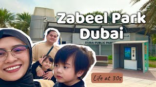 Picnic at Zabeel Park Dubai Frame | Parks in Dubai | Documenting My Life at 30s