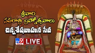 Tirumala Navaratri Brahmotsavam LIVE || Chinna Sesha Vahanam - TV9