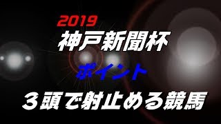 2019神戸新聞杯★おさえておきたいポイント