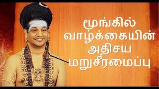 மூங்கில் வாழ்க்கையின் அதிசய மறுசீரமைப்பு ||தியான சிகிச்சையாளர் முகாம் || 22 ஜனவரி 2005