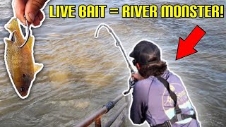 CATFISHING with BIG LIVE BAIT for RIVER MONSTERS! {Catch Clean Cook} The BEST TASTING Catfish!!!!