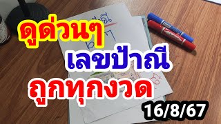 ดูด่วนๆเลขป้าณี#ถูกทุกงวด#16/8/67