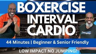 Beginners & Senior Friendly Boxercise Interval Low Impact Cardio Workout & Calorie Burner | 44 Min