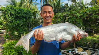 LẨU CÁ BÔNG LAU NẤU MĂNG CHUA. Con cá Bông Lau thiên nhiên siêu to - Bin Đen Family