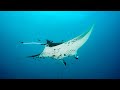 Diving South Ari Atoll Extended Version