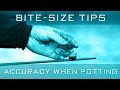 Bite-Size Tips: Accuracy When Potting