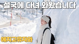 일본🇯🇵에치고유자와@도쿄 근교 설국❄️겨울 니가타여행[유자와 로프웨이, 폰슈칸, 온천커피, 아키하바라, 일본소도시여행, 일본렌트카여행]