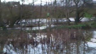 Flood on Canal walk,Kilkenny -30th.Dec.2015.