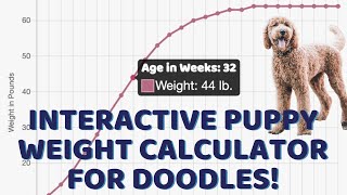 Interactive Puppy Weight Calculator for Doodles! Demo \u0026 Quick Adult Weight Formulas