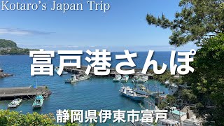 伊豆・伊東 富戸港(ふとこう)さんぽ【静岡県伊東市富戸】2022/5 漁港さんぽ