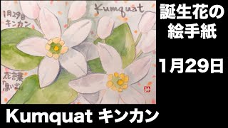 誕生花の絵手紙　1月29日　Kumquat キンカン