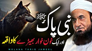 Nabi (SAW) ki Mohabbat: Aik Bherdia Ka Waqia 2024 - Maulana Tariq Jameel