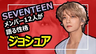 セブチ12人が語るジョシュアの性格[SEVENTEEN/세븐틴/セブチ/日本語字幕]