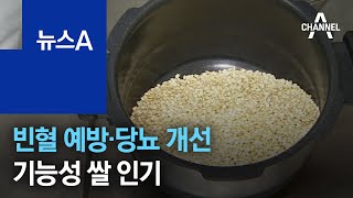 빈혈 예방부터 당뇨 개선까지…기능성 쌀 인기 | 뉴스A