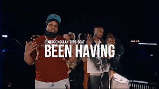 bluebucksclan sample type beat 2024 - “been having”