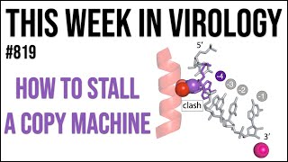 TWiV 819: How to stall a copy machine