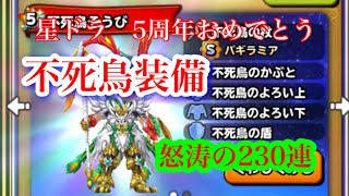 星ドラ　5周年おめでとう　不死鳥装備ぶっ壊れ　怒涛の230連