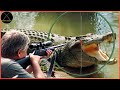 HOT: How Do American Hunters And Farmers Deal With Million Of Crocodile, Baboons By Guns