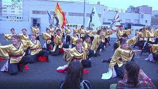 秋田大学よさこいサークル よさとせ歌舞輝 ヤートセ秋田祭 2017