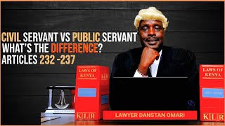 What Is the Difference Between a Civil Servant and a Public Servant? Articles 232–237