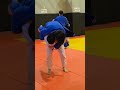 right u0026 left judo uchikomi repeating both sides seoi nage jacob yang 66kg judo jiujitsu