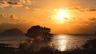 【Japan 1minute Travel SHIGA Lake Biwa】 滋賀 琵琶湖（湖北の夕景タイムラプス動画）