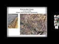 mechanization of medium scale reduced tillage systems with gilad buzi