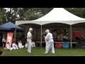 karate foire multiculturelle ville de mont royal