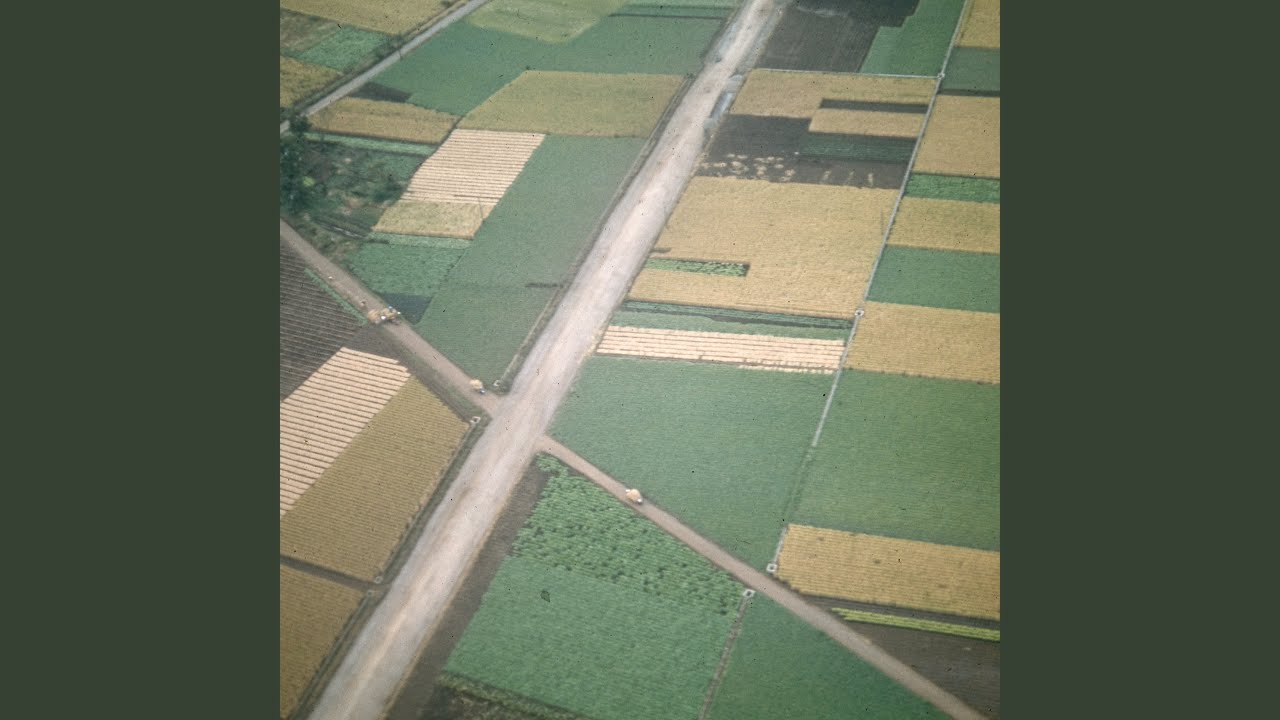 Distressing Sensations Youtube Music