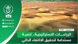 تيميمون - فلاحة - ملتقى | الزراعات الاستراتيجية.. تنمية مستدامة لتحقيق الإكتفاء الذاتي